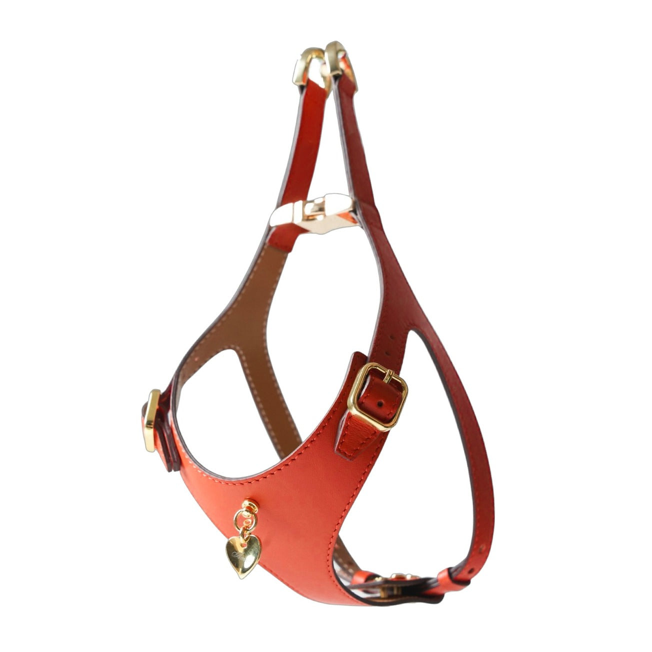 Noble Harness - Corallo