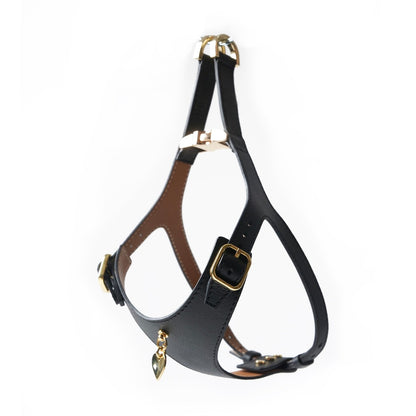 Noble Harness - Nero