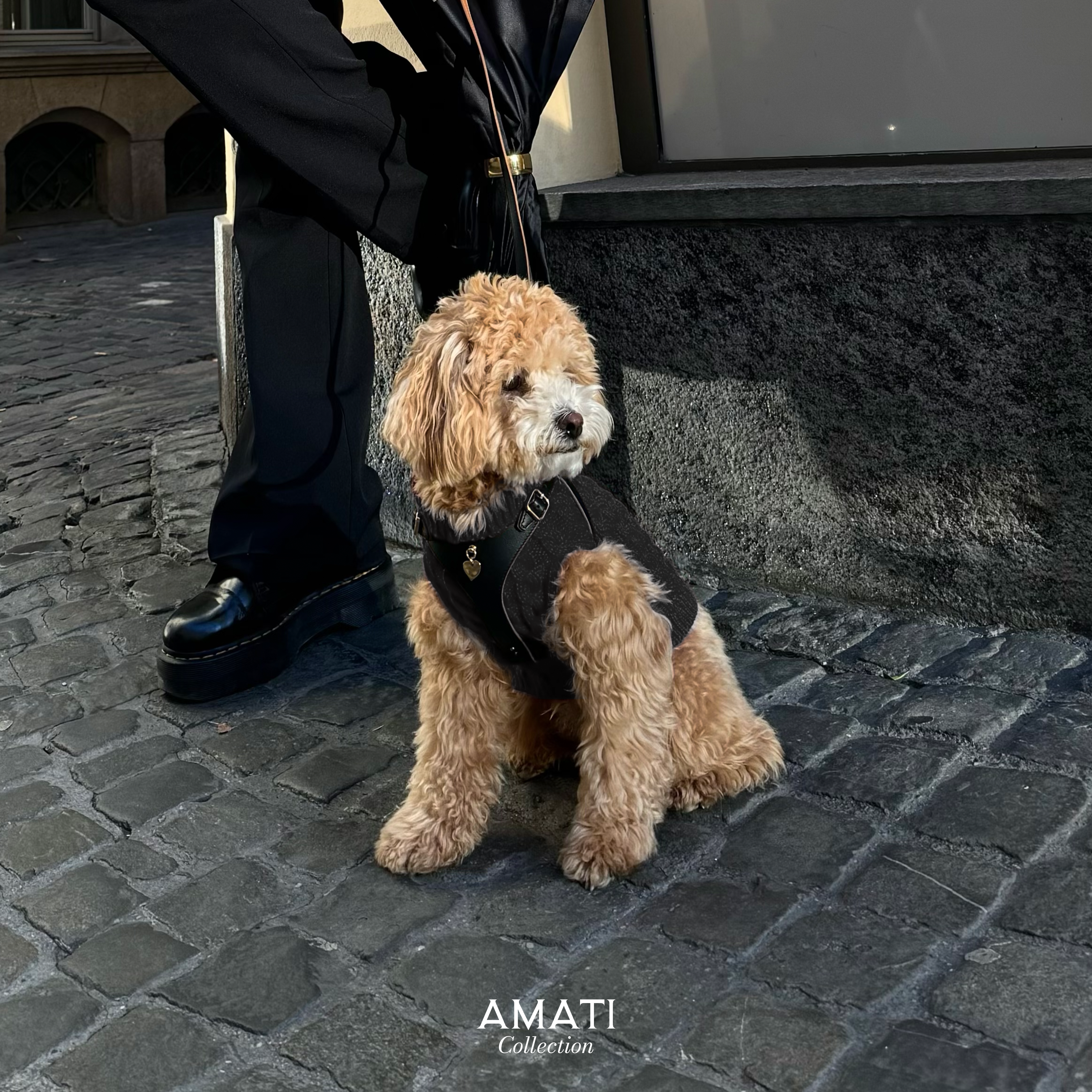 Soft Knitted Sweater - Black