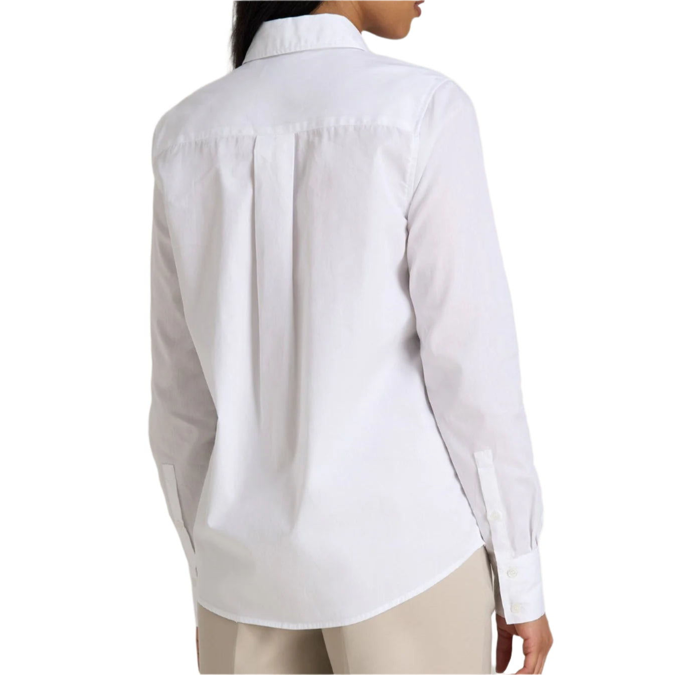Dachshund Embroidered Button Down Shirt