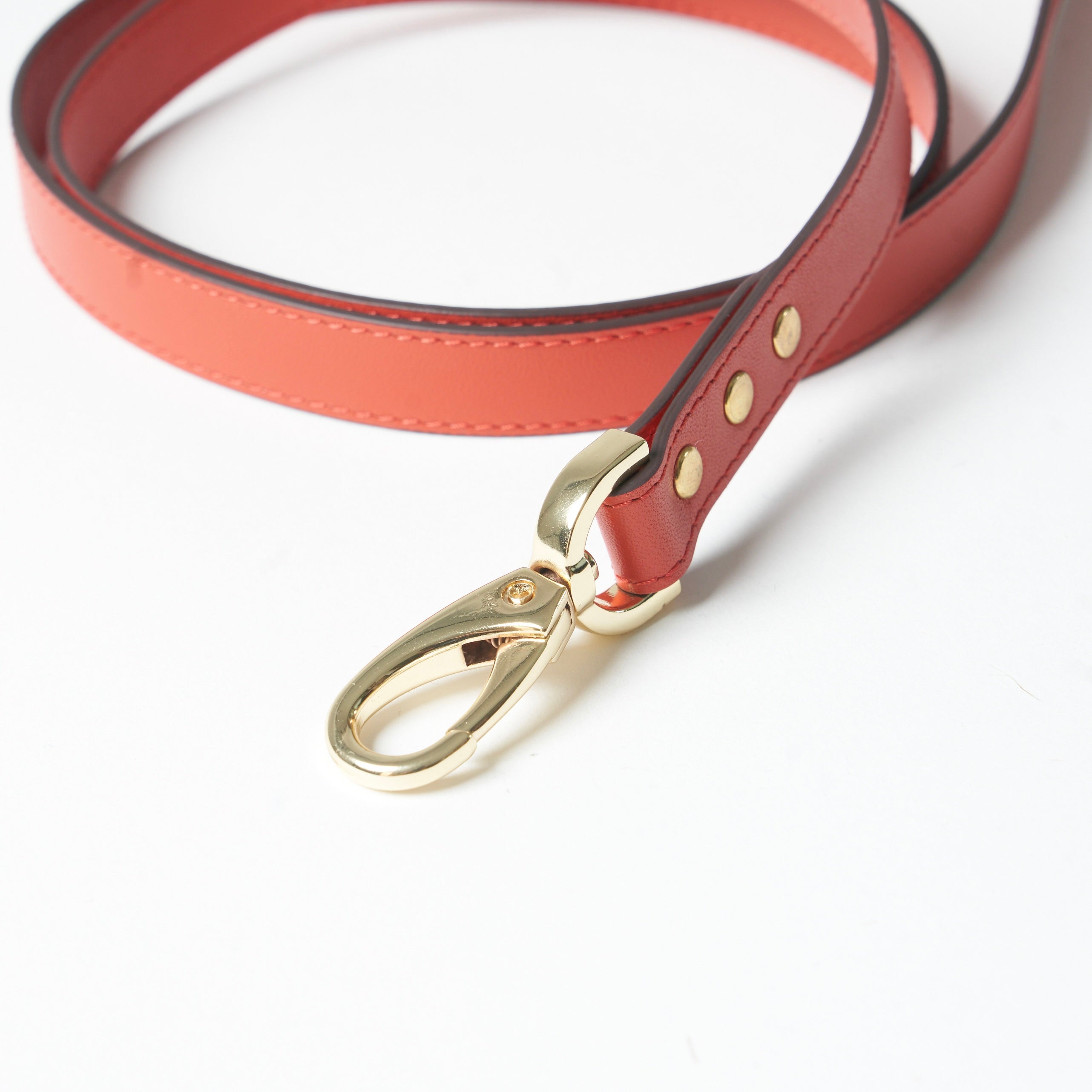 Royal Leash - Corallo