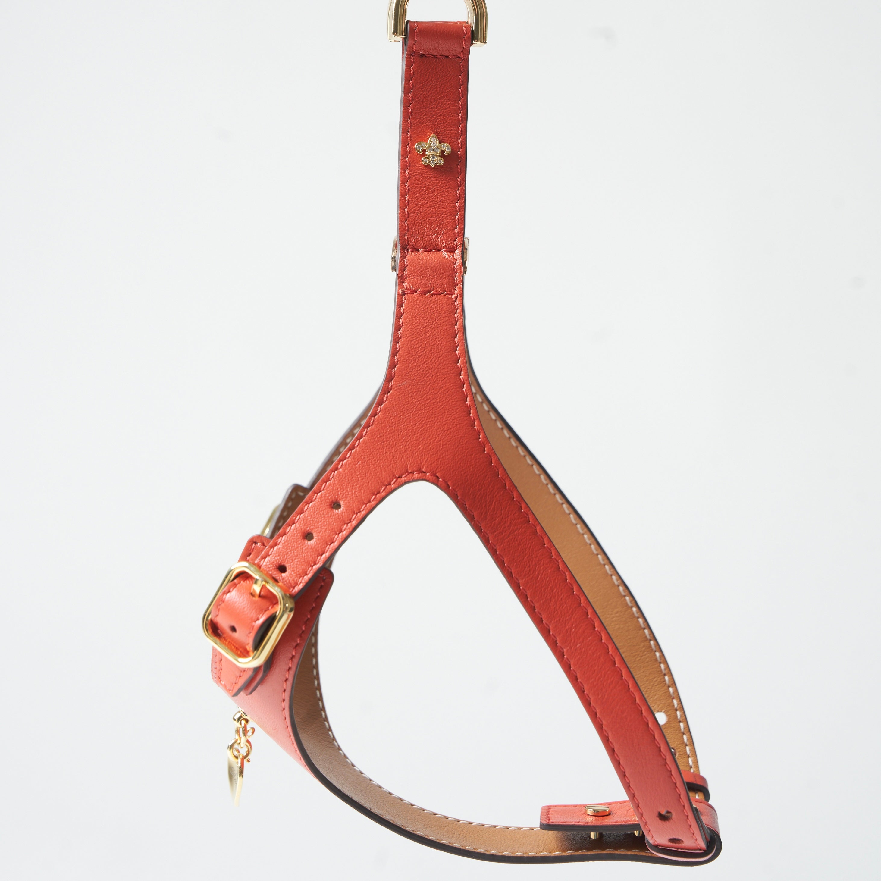 Royal Harness - Corallo