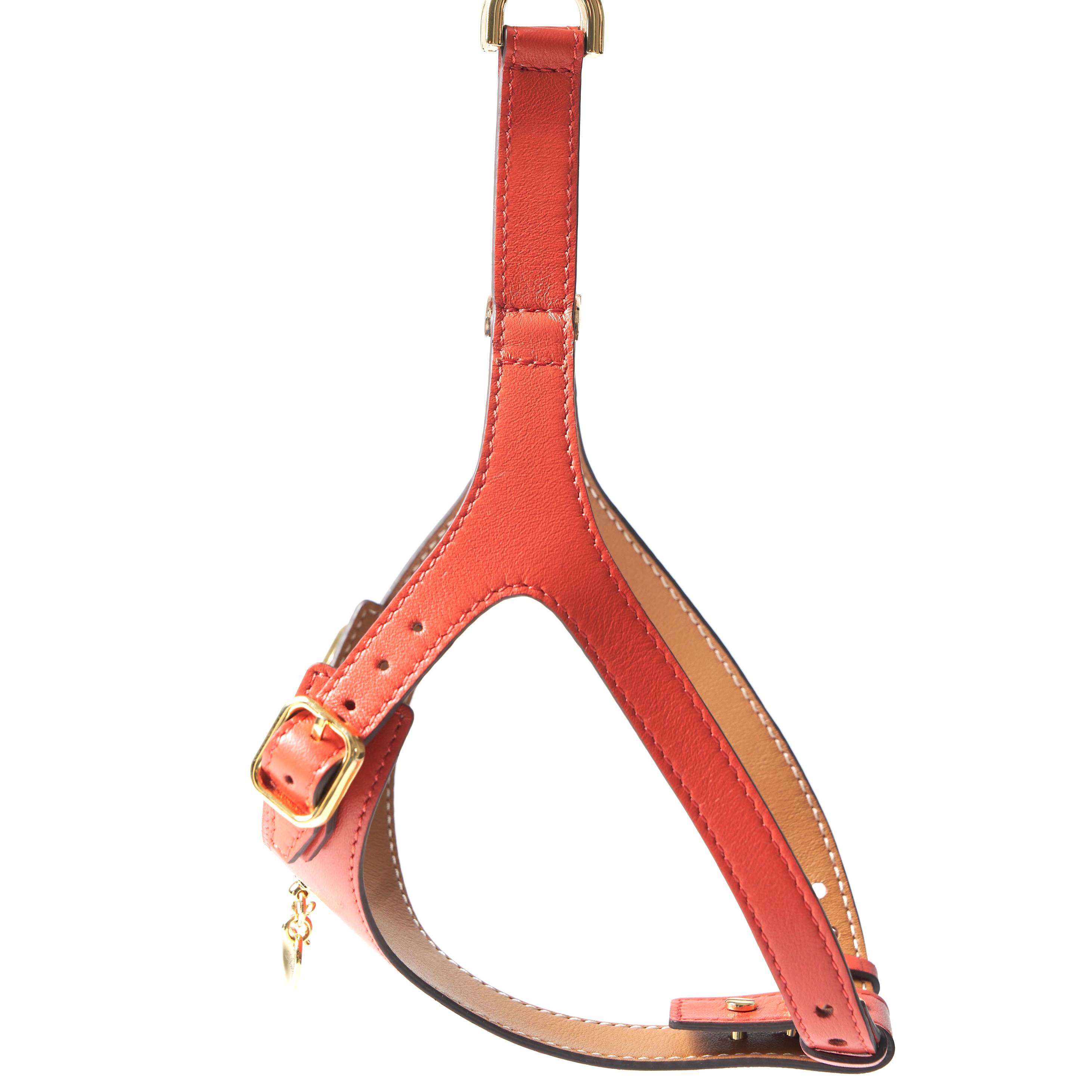 Noble Harness - Corallo