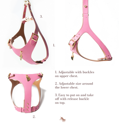 Noble Harness - Rosa