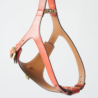 Noble Harness - Corallo