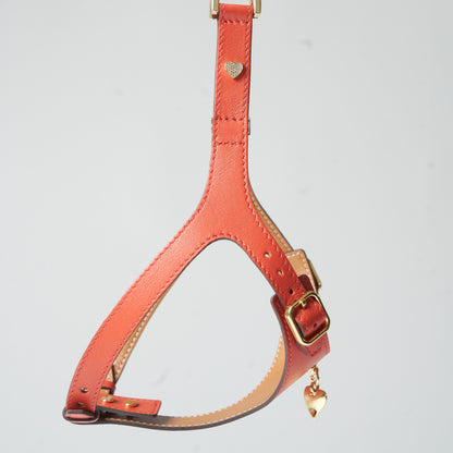 Royal Harness - Corallo