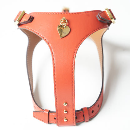 Noble Harness - Corallo