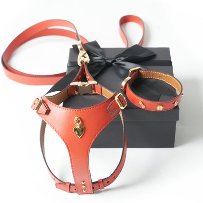 Noble Harness - Corallo