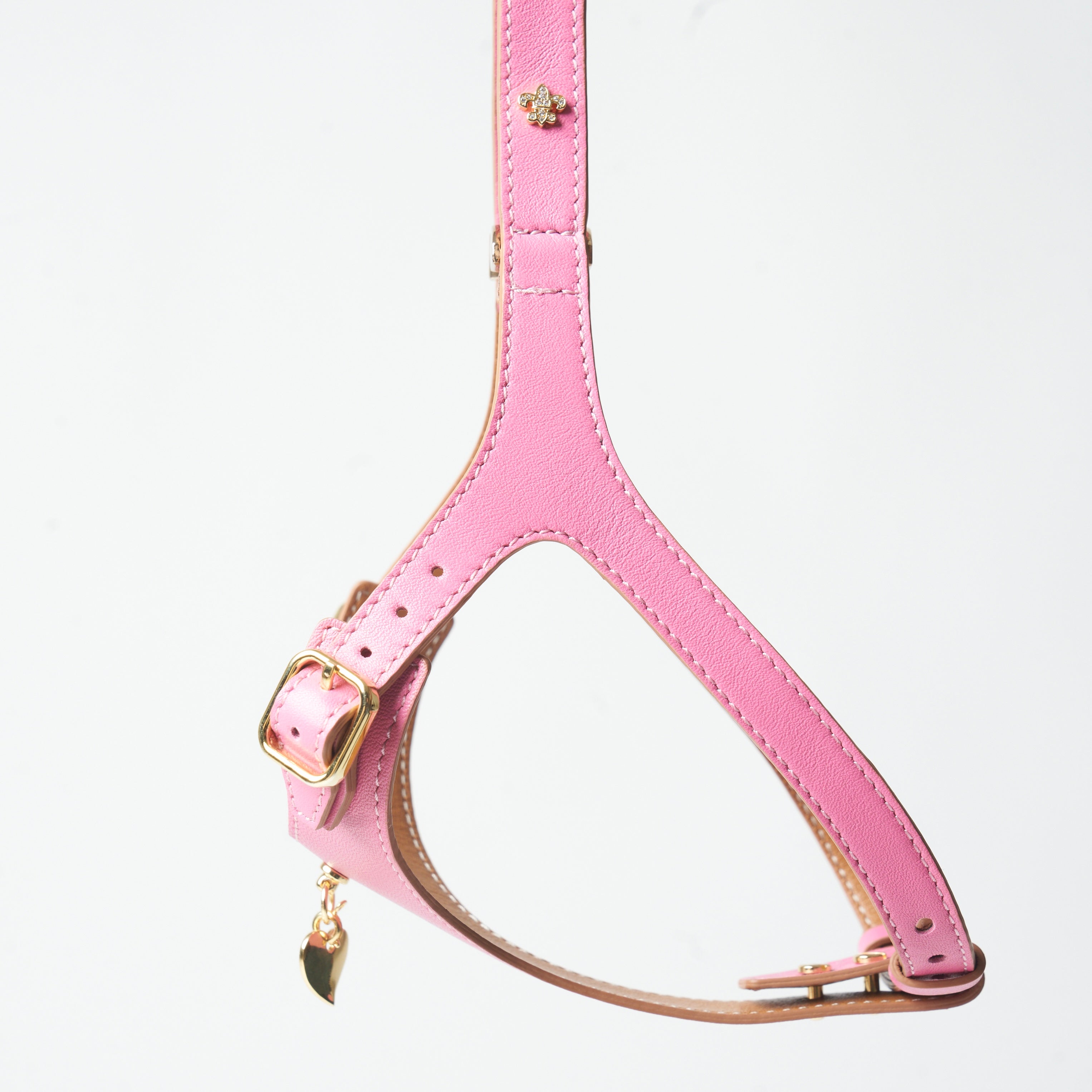 Royal Harness - Rosa