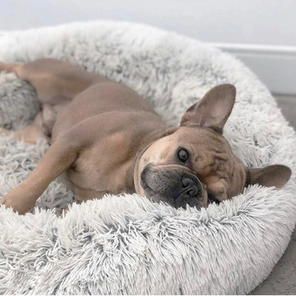 Fluffy Dog Bed