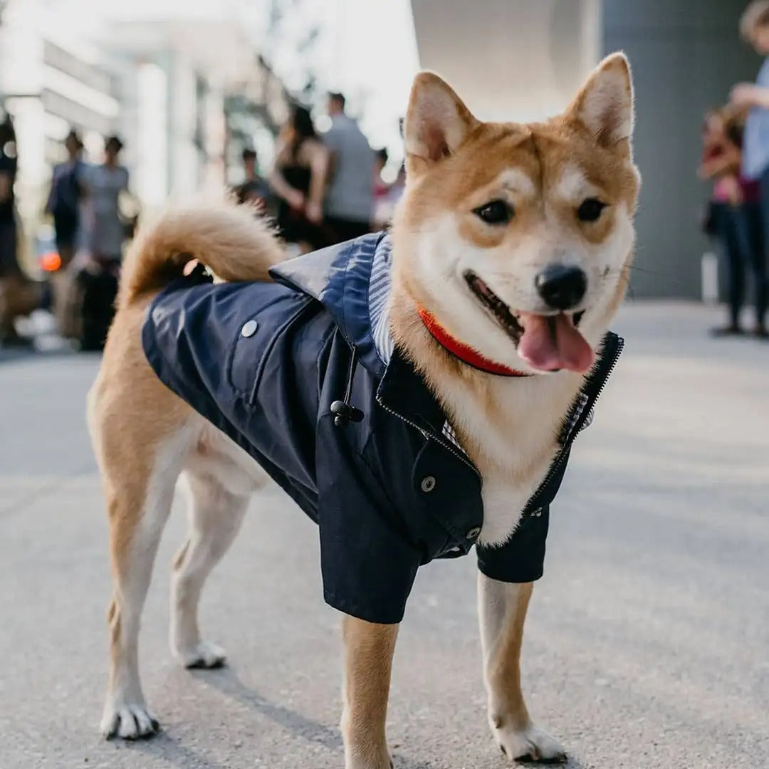 Raincoat - Navy