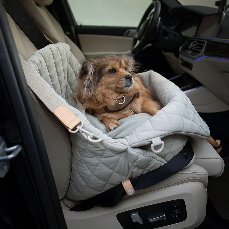 Dog Car Seat & Carrier