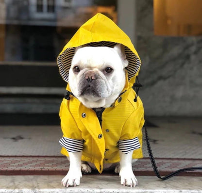 Raincoat - Yellow