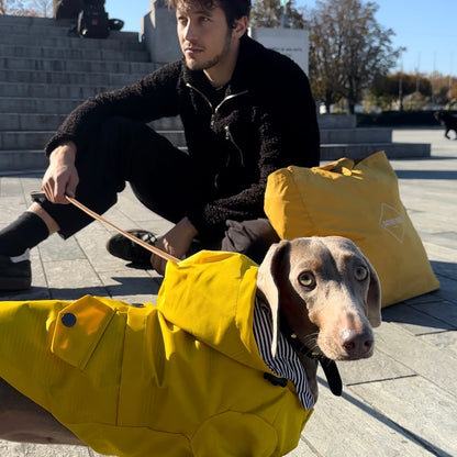 Raincoat - Yellow