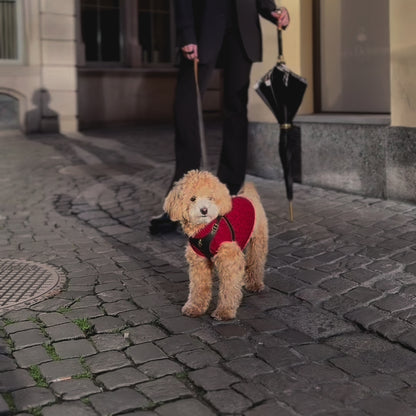 Soft Knitted Sweater - Red